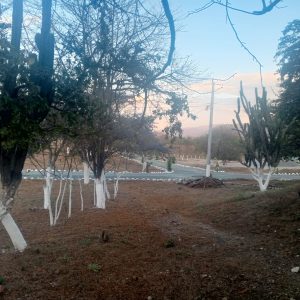 Terreno en Venta / Prados de Usumatlán, Zacapa