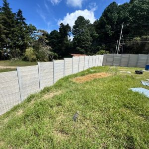 Terreno en renta zona 16 – Camino al Pulte