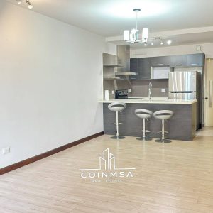 Apartamento en Renta zona 10 / Venti4