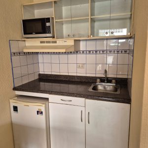 Apartamento amueblado tipo efficiency zona 9