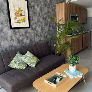 Apartamento amueblado en renta zona 13 / Elemento